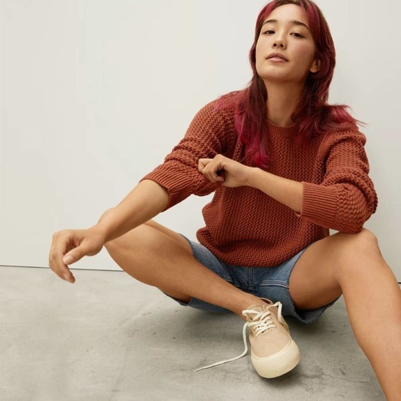 Everlane Sweaters - NWT Everlane the mesh soft cotton crew in cinnamon